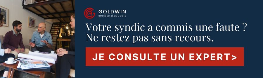 faute du syndic
